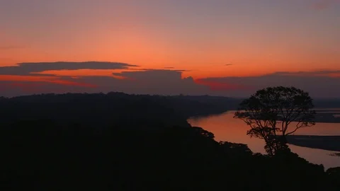 Rainforest - Amazon - Sunset Stock Footage 72748394