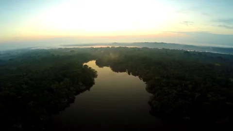 Rainforest of the Amazon at Sunset. Vídeo Stock 73183457