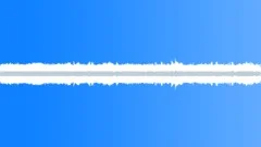 Rainforest Ambience 01 Sound Effect