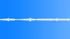 Rainforest Ambience 02 - Loop Sound Effect