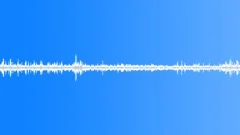 Rainforest Ambience 04 - LoopSound Effect