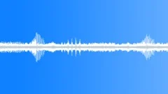 Rainforest Ambience Sound Effect
