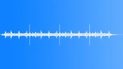 Rainforest AmbienceSound Effect