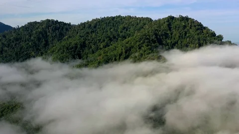 Rainforest and clouds hyperlapse Stock Footage 128467574