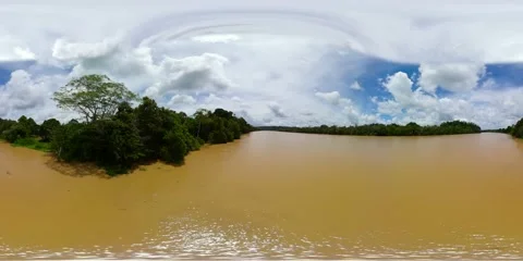 Rainforest and river in Borneo. 360 panorama VR. Stock Footage 221751380
