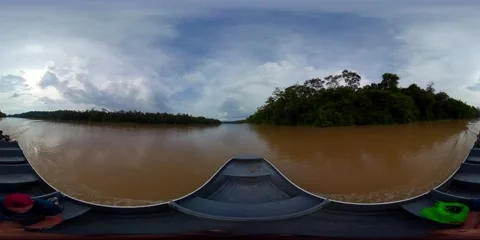 Rainforest and river in Borneo. 360 panorama VR. Stock Footage 228229372