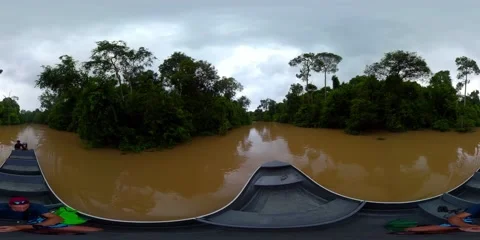 Rainforest and river in Borneo. 360 panorama VR. Stock Footage 238830751