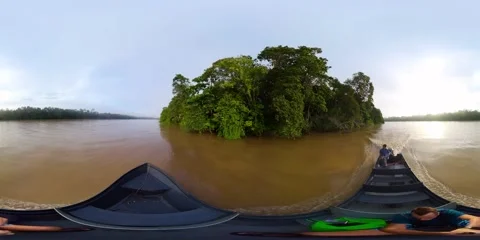 Rainforest and river in Borneo. 360 panorama VR. Stock Footage 243186344
