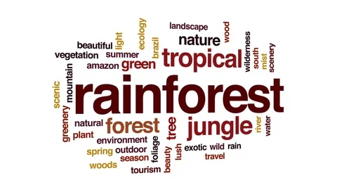 Rainforest animated word cloud, text design animation. Stock Footage 78857990