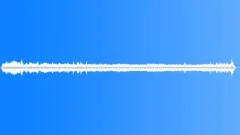 Rainforest Atmosphere Atmosphere Recorded Sound Effect