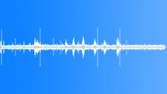 Rainforest Atmosphere Atmosphere RecordedSound Effect