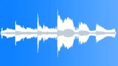 Rainforest Atmosphere Autumn EveningSound Effect