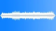 Rainforest Atmosphere Bird CallsSound Effect