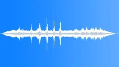 Rainforest Atmosphere Bird CallsSound Effect