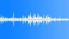 Rainforest Atmosphere Dawn Chorus Sound Effect
