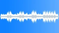 Rainforest Atmosphere Dawn Chorus Sound Effect