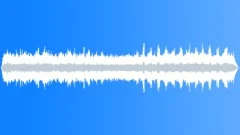 Rainforest Atmosphere Dawn ChorusSound Effect