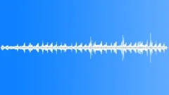 Rainforest Atmosphere Early MorningSound Effect