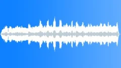 Rainforest Atmosphere Early MorningSound Effect
