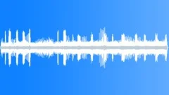 Rainforest Atmosphere Evening AtmosphereSound Effect