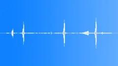 Rainforest Atmosphere MD Shrill Sound Effect