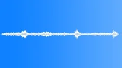 Rainforest Atmosphere Morning Prominent Sound Effect