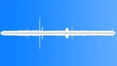 Rainforest Atmosphere Neutral Forest Sound Effect