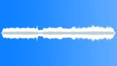 Rainforest Atmosphere Quiet AtmosphereSound Effect