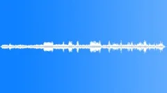 Rainforest Atmosphere Recorded InSound Effect