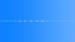 Rainforest Atmosphere Recorded At Sound Effect
