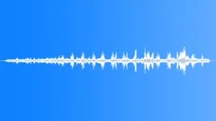 Rainforest Atmosphere Recorded In Sound Effect