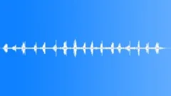 Rainforest Atmosphere Recorded InSound Effect