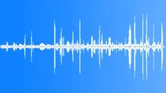 Rainforest Atmosphere Recorded InSound Effect