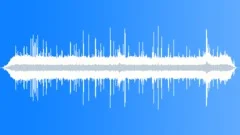 Rainforest Atmosphere Recorded AtSound Effect