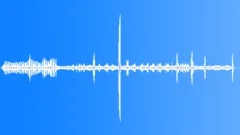 Rainforest Atmosphere Recorded InSound Effect