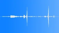 Rainforest Atmosphere Recorded InSound Effect