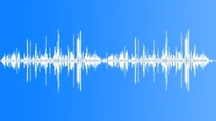 Rainforest birds.Sound Effect