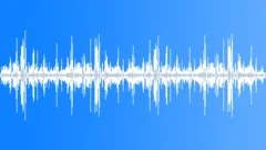 Rainforest birds.Sound Effect