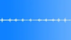 Rainforest with BirdsongSound Effect