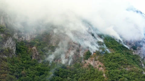Rainforest burning in a WILDFIRE, white plumes of thick smoke billowing Stock Footage 159791104