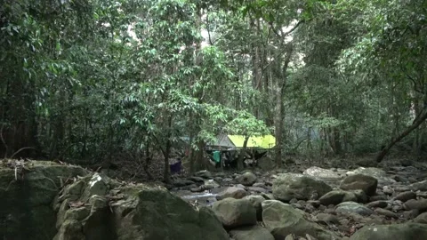 Rainforest camp, Malaysia Stock Footage 135718624