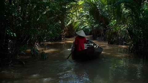 Rainforest canal through coconut palms with Sampan Vietnam Stock Footage 112856464