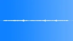 Rainforest Canopy Atmosphere Atmosphere Sound Effect