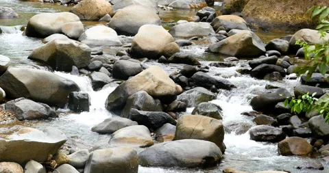 Rainforest Cascading River White Water Through The Rounded Shaped Rocks Stock Footage 155868068