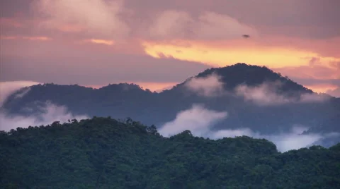 Rainforest clouds rising evening Vidéo 1001698