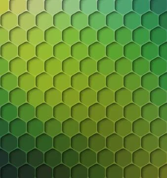 Rainforest Colored Abstract Background, Vector Illustration Stock Illustration