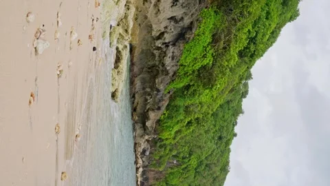 A rainforest-covered rock on the oceanfront. Slow motion. Vertical video. 4K Video stock 245639775