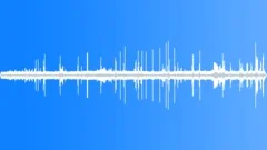 Rainforest Early Morning InSound Effect