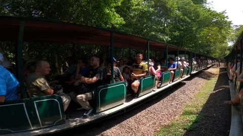 Rainforest Ecological Train runs through forest to falls, Argentina 動画素材 335203488