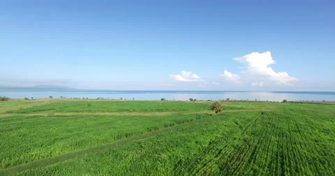 Rainforest ecosystem and healthy environ... | Stock Video | Pond5